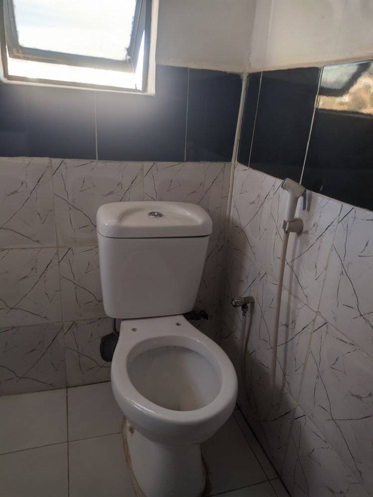 Image non trouvée